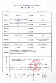国家级检验报告