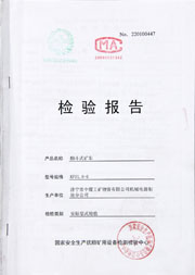 国家级检验报告