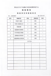 国家级检验报告