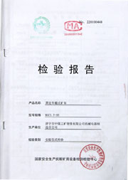 国家级检验报告