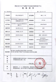 国家级检验报告