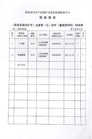 国家级检验报告