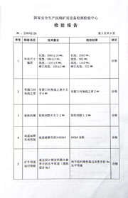 国家级检验报告