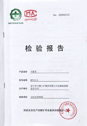 国家级检验报告