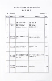 国家级检验报告
