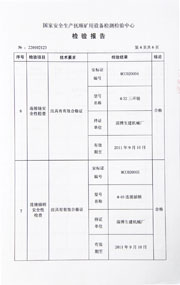 国家级检验报告