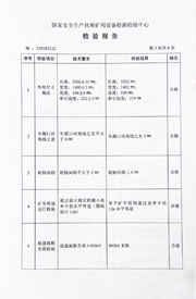 国家级检验报告