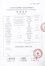 省级检验报告