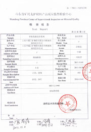 省级检验报告