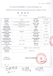 省级检验报告