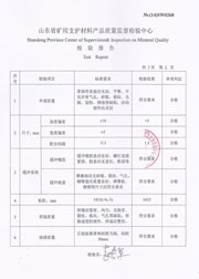 省级检验报告