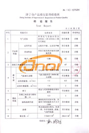 市级检验报告