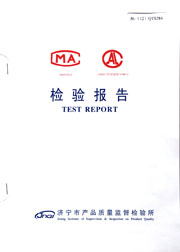 市级检验报告