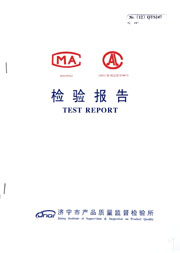 市级检验报告