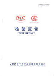 市级检验报告