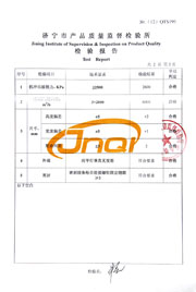 市级检验报告