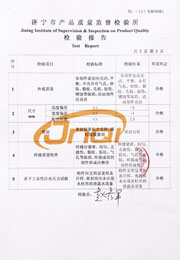 市级检验报告