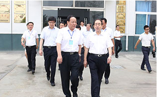 积极适应新常态 加快推进新发展——全市科学发展现场观摩会侧记