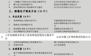 工业和信息化部关于公布2013年电子商务集成创新试点工程入选项目的通告
