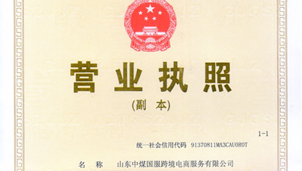 热烈祝贺山东中煤国服跨境电商服务有限公司正式成立